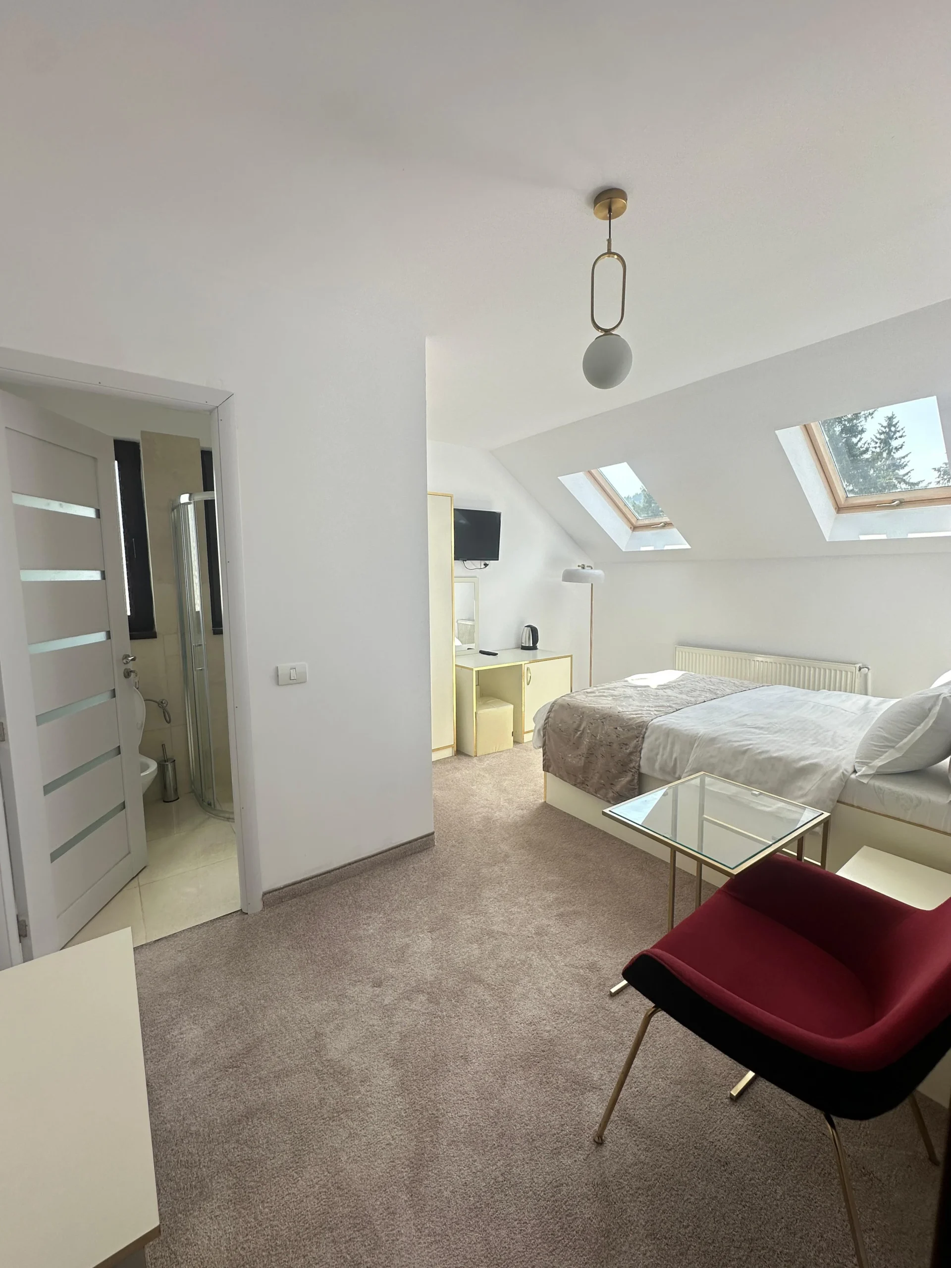 Camera dubla standard 2